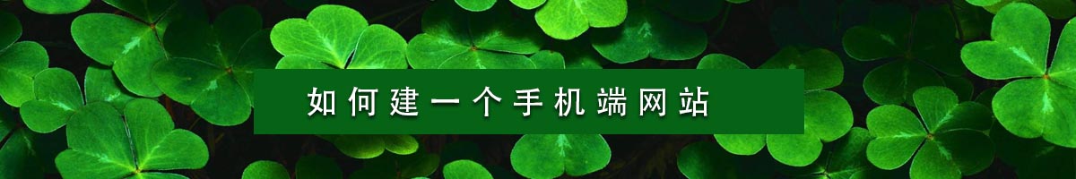 如何建一個(gè)手機(jī)端網(wǎng)站？.jpg