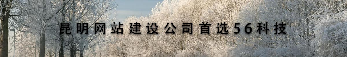 昆明網(wǎng)站建設公司首選56科技.jpg