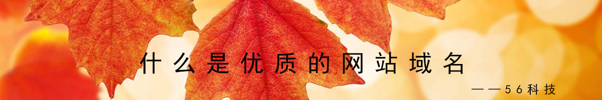 什么是優(yōu)質網站域名？.jpg