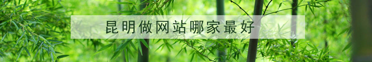 昆明做網(wǎng)站哪家最好？.jpg