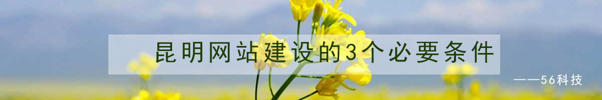 昆明網(wǎng)站建設(shè)的3個(gè)必要條件.jpg