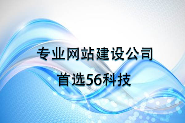 專業(yè)網(wǎng)站建設(shè)公司首選56科技.jpg