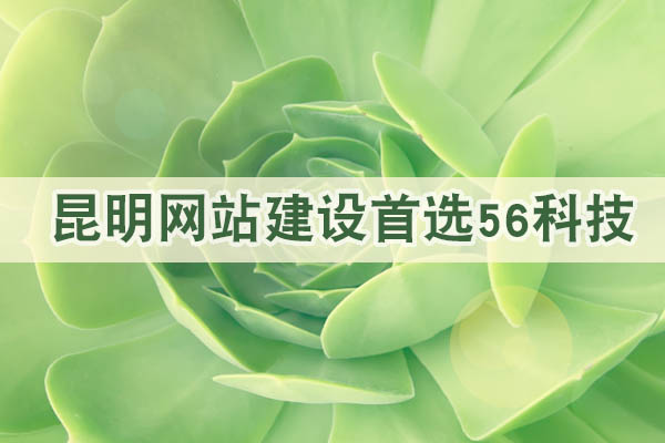 昆明網(wǎng)站建設公司哪家最好？.jpg