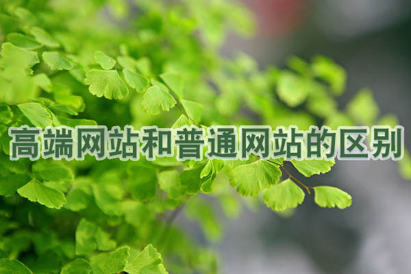 高端網(wǎng)站和普通網(wǎng)站的區(qū)別.jpg