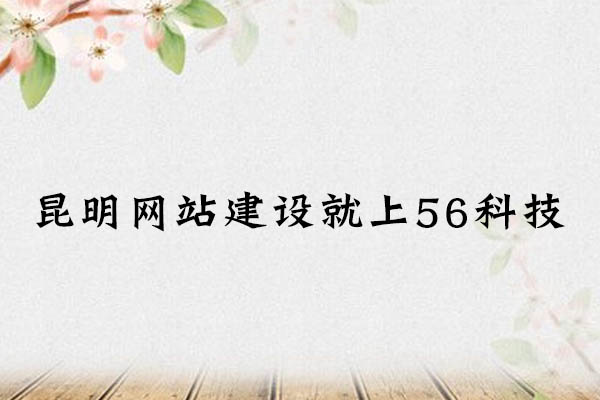 企業(yè)網(wǎng)站建設哪家好？首選56科技.jpg