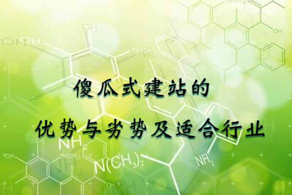 傻瓜式建站的優(yōu)勢(shì)與劣勢(shì)及適合行業(yè).jpg