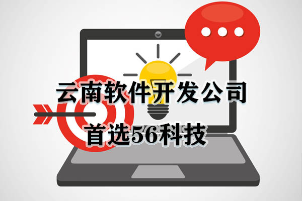 如何選擇一個(gè)好的軟件系統(tǒng)開(kāi)發(fā)公司