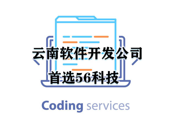 云南軟件開發(fā)公司首選56科技