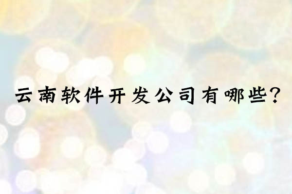 云南軟件開發(fā)公司有哪些？