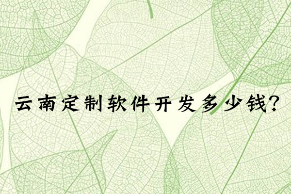 云南定制軟件開發(fā)多少錢？