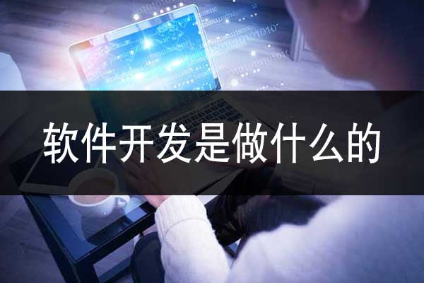 云南軟件開(kāi)發(fā)是做什么的