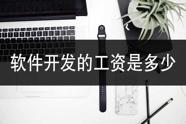 云南軟件開(kāi)發(fā)的工資一般是多少