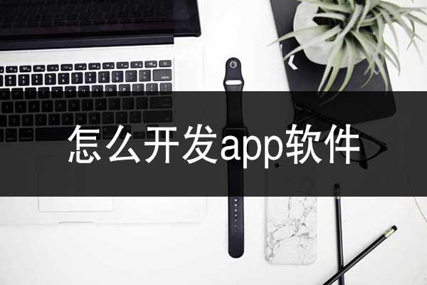 云南怎么開(kāi)發(fā)app軟件