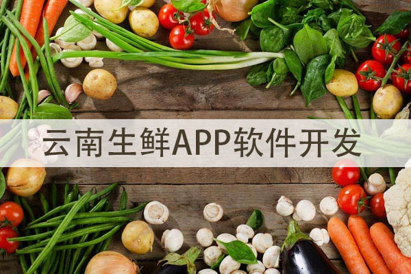 云南生鮮APP軟件開發(fā)設(shè)計(jì)方案