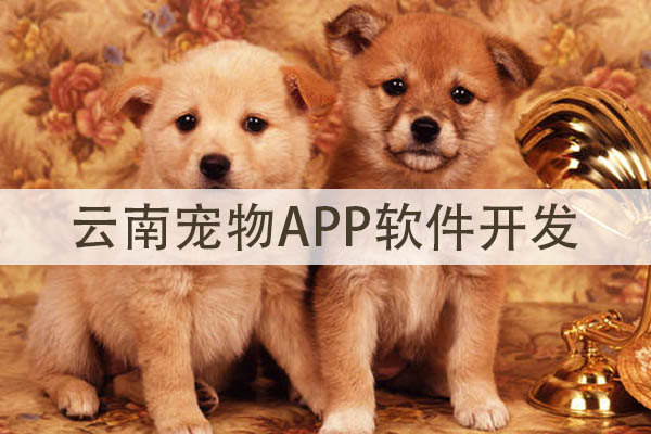 云南寵物APP軟件開發(fā)設(shè)計方案