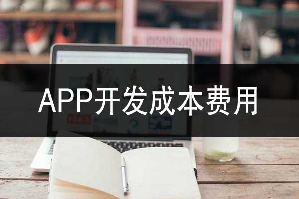 云南app軟件開發(fā)的成本是多少