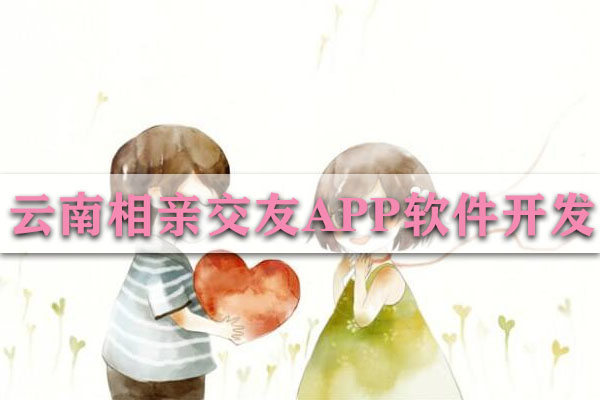 云南相親交友APP軟件開發(fā)方案