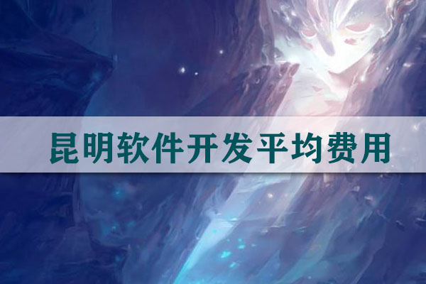 昆明軟件開發(fā)平均要多少錢