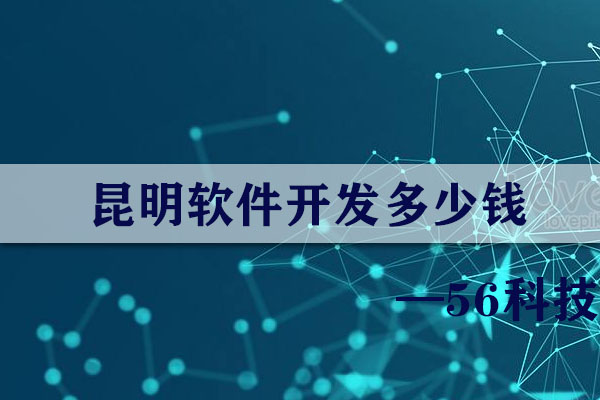 昆明軟件開發(fā)多少錢