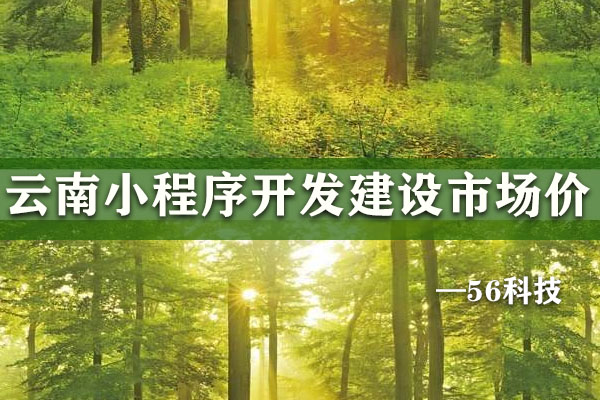 云南小程序開(kāi)發(fā)建設(shè)市場(chǎng)價(jià)