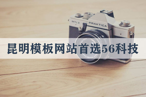 昆明專業(yè)的模板網(wǎng)站多少錢一個(gè)
