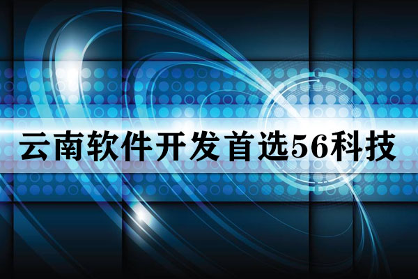云南軟件開(kāi)發(fā)公司哪家靠譜