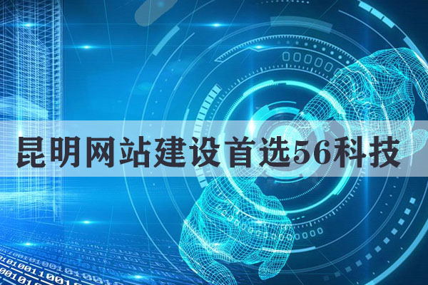 昆明企業(yè)展示網(wǎng)站要多少錢
