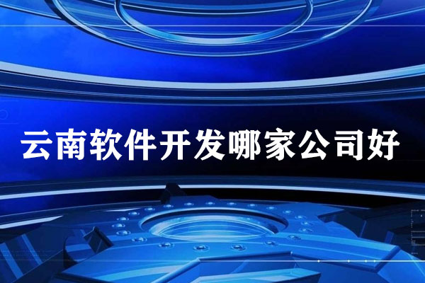 云南軟件開發(fā)哪家公司好？