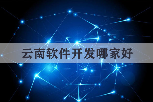 云南軟件開發(fā)哪家好