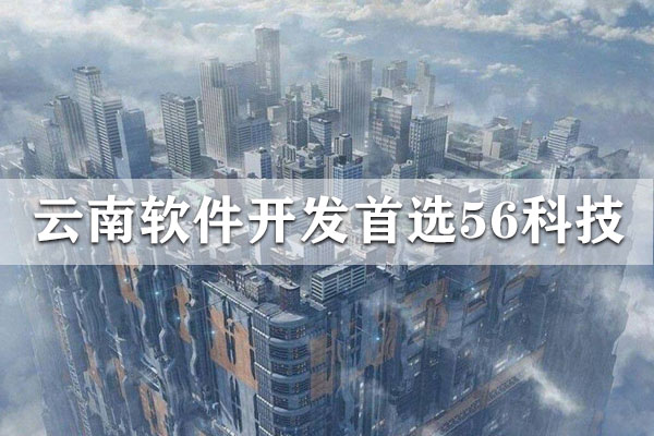 昆明靠譜軟件定制價格