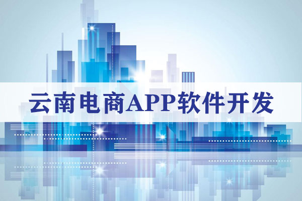 云南電商APP軟件開發(fā)解決方案