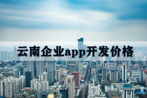 云南企業(yè)app開發(fā)價格