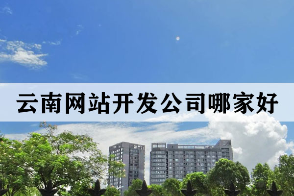 云南網(wǎng)站開(kāi)發(fā)公司哪家好