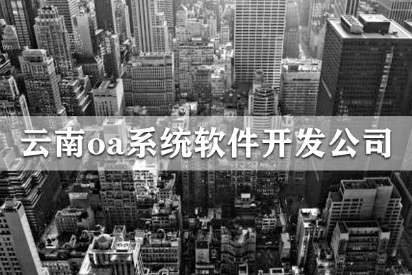 云南oa系統(tǒng)軟件開發(fā)公司哪家好？