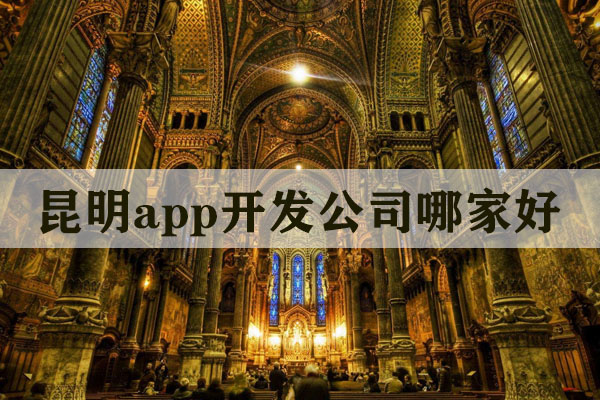 昆明app開發(fā)公司哪家好