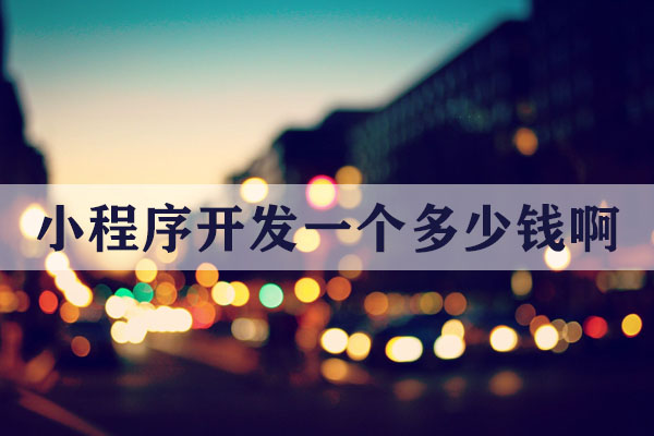 昆明小程序開發(fā)一個多少錢啊