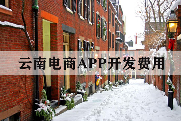 云南做一款電商APP需要多少錢？