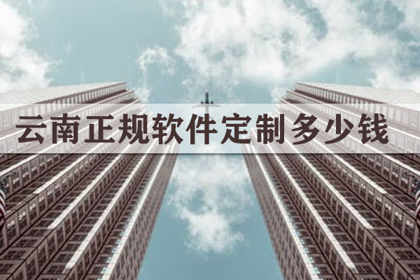 云南正規(guī)軟件定制多少錢