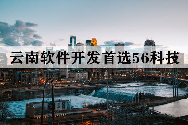 云南專業(yè)的軟件定制多少錢