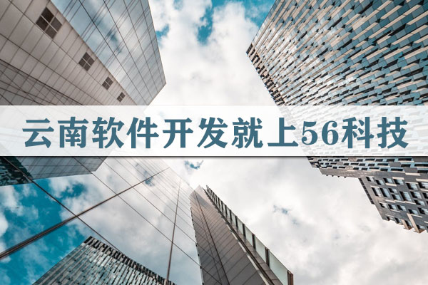 云南軟件開發(fā)價格大概多少錢