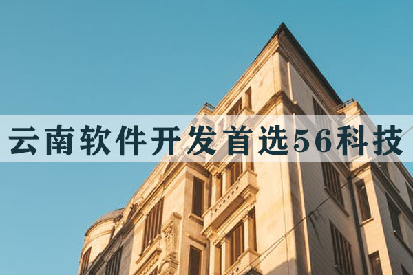 優(yōu)質軟件開發(fā)收費多少？