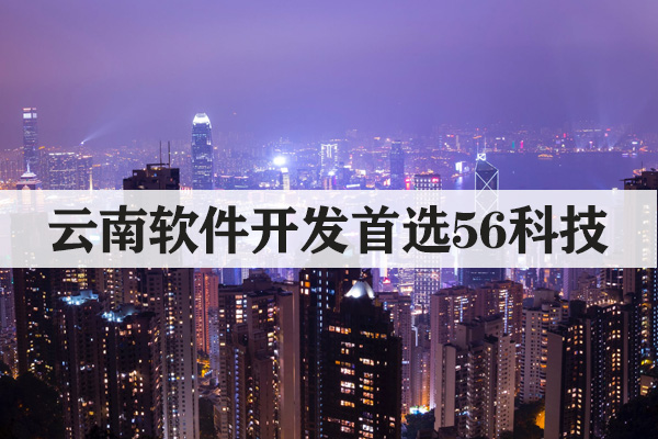 昆明開發(fā)軟件怎么收費