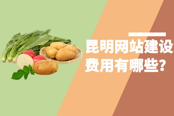 昆明網(wǎng)站建設費用有哪些？