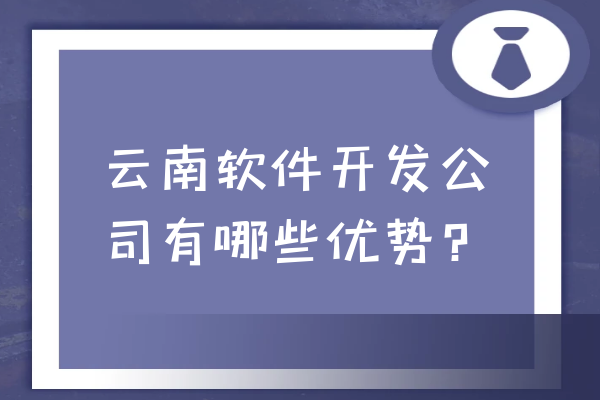 云南軟件開發(fā)公司有哪些優(yōu)勢？