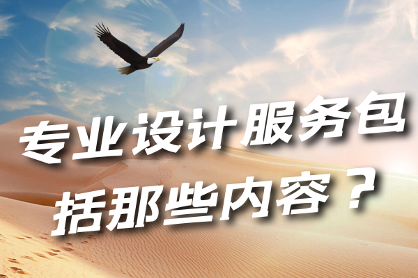 專業(yè)設(shè)計(jì)服務(wù)包括那些內(nèi)容？