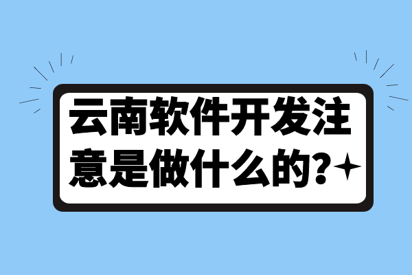 云南軟件開(kāi)發(fā)注意是做什么的？