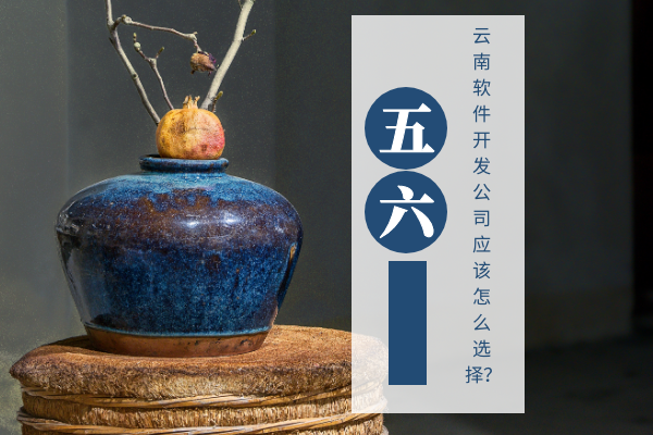 云南軟件開(kāi)發(fā)公司應(yīng)該怎么選擇？