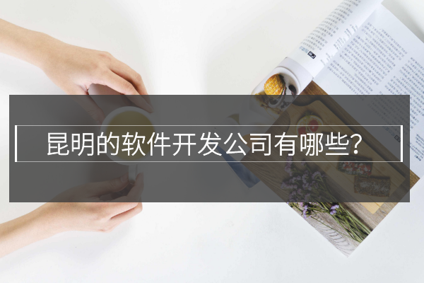 昆明的軟件開發(fā)公司有哪些？