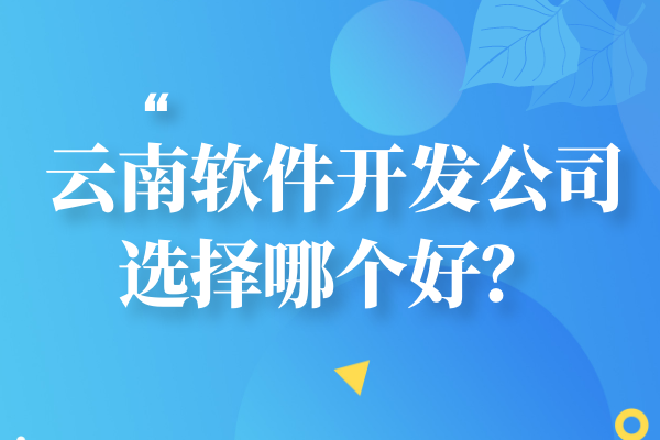 云南軟件開發(fā)公司選擇哪個好？
