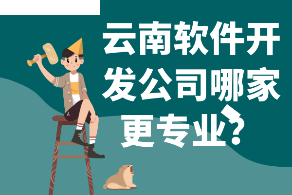 云南軟件開發(fā)公司哪家更專業(yè)？